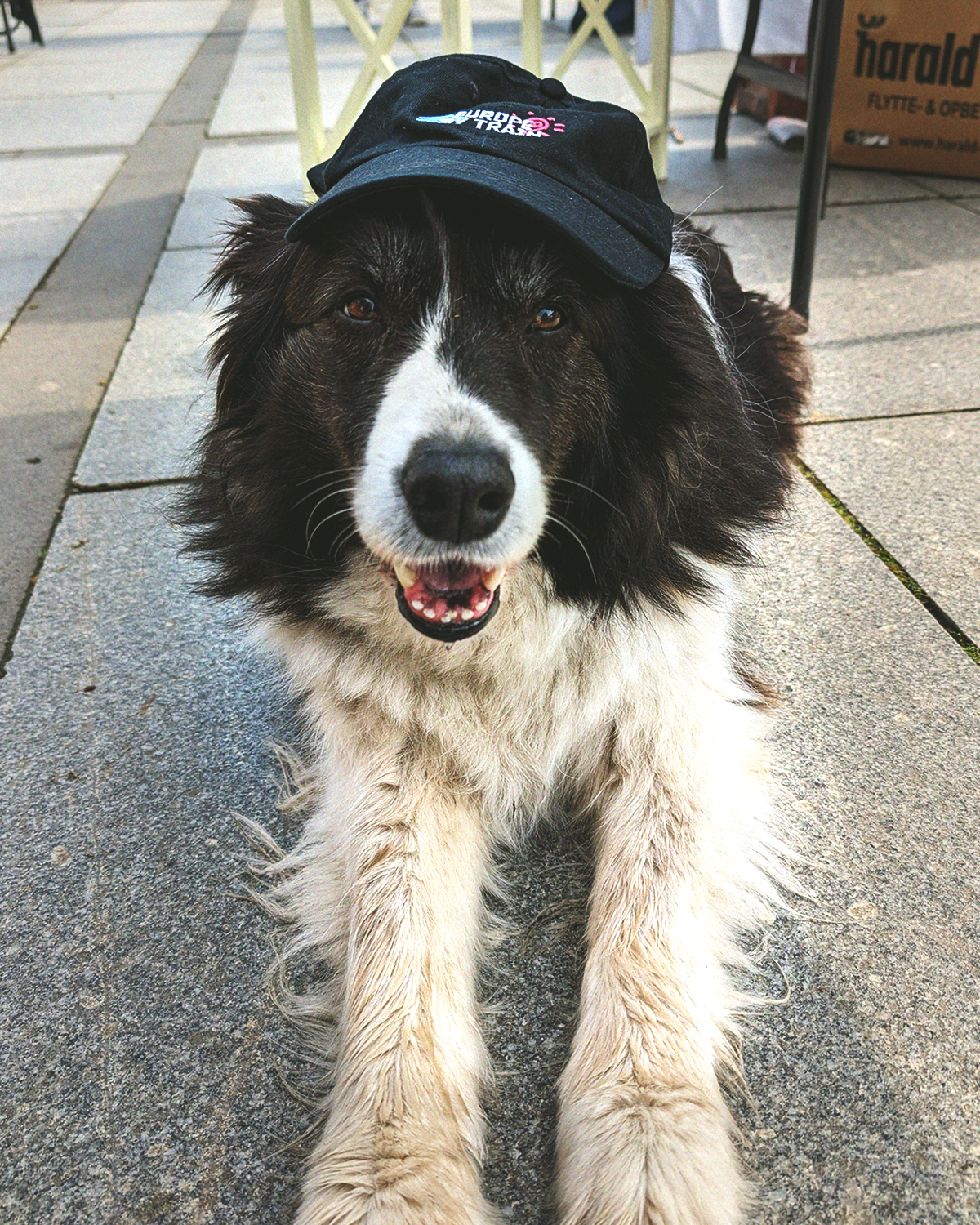 SUNNY CAP (BLACK)